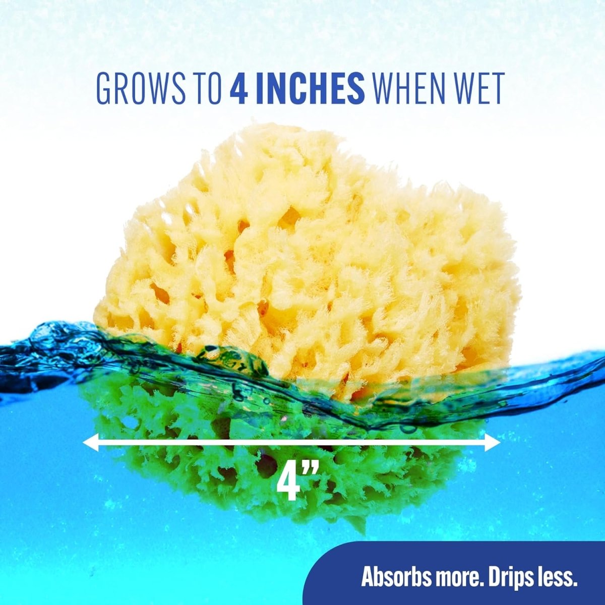 Baby Buddy Natural Wool Sea Sponge, Newborn Bath Time Essential, Ultra Soft for Delicate Skin, Hypoallergenic and Biodegradable, 1 pack - LittleTreasures