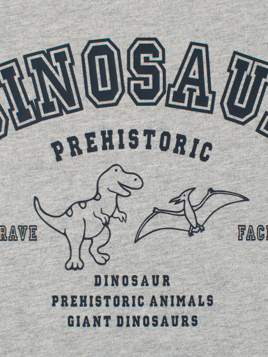 Autumn Arrival Kids Cartoon Print Crew Neck Long Sleeves Color Patchwork Shirt