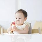 Quark Fruuti Silicone Baby Fruit Pacifier & Teether Set - LittleTreasures