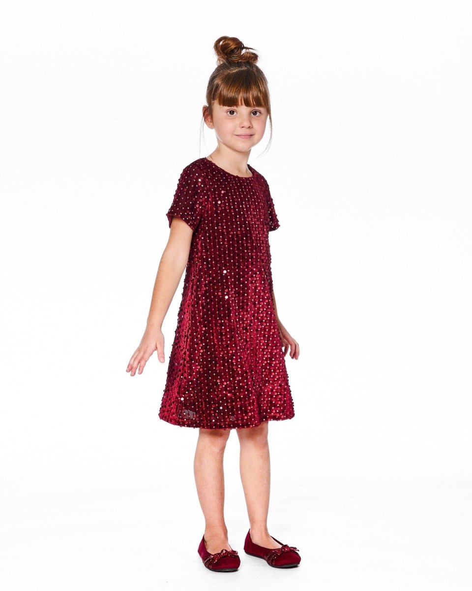 Velvet Short Sleeve Dress Red - LittleTreasures